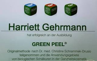 Zertifikate Harriet Gehrmann (3)